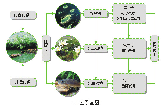 人工濕地污水處理技術(shù)的優(yōu)點與缺點