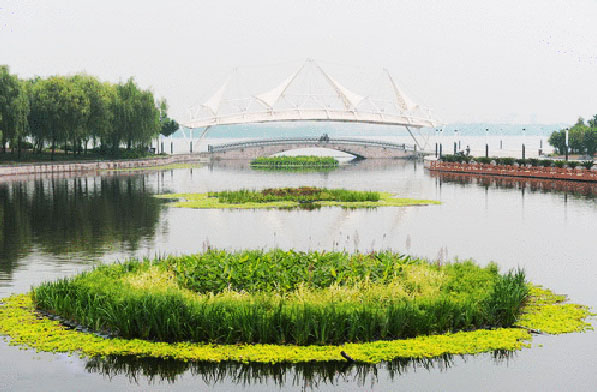 人工浮島生態(tài)浮島技術(shù)分析